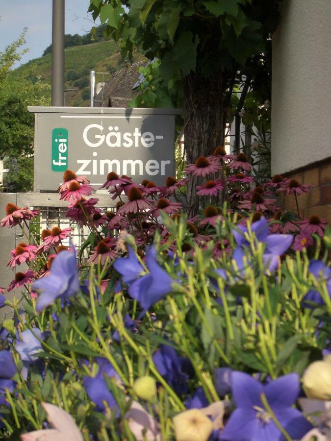 Gaestehaus Weberskirch Ernst Esterno foto