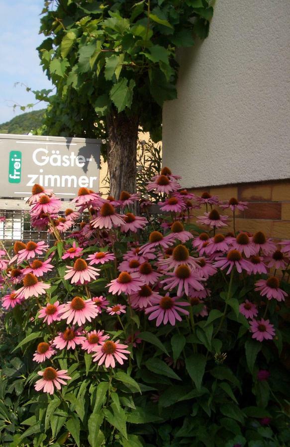 Gaestehaus Weberskirch Ernst Esterno foto